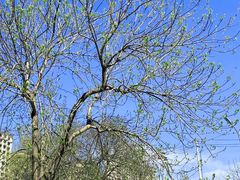 -成寿寺(地铁站)