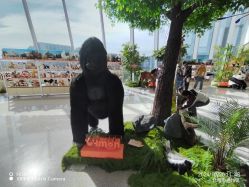 -IMON·HANSA潮玩玩偶毛绒玩具(通州万象汇店)