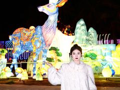 -欢乐海岸椰林沙滩-2025湾区超级灯会