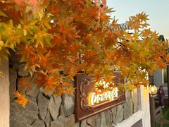 -Blue Concept Cafe&Farm·關於藍