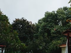 -碧水湾温泉