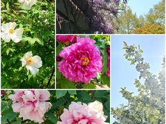 -南山风景名胜区