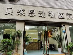 -贝来恩24H动物医院·转诊中心(稻香路店)