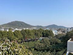 -树山生态村