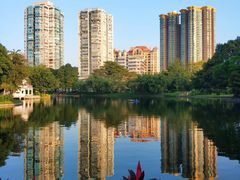 -晓港公园