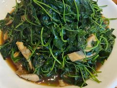 金花菜蚌肉-品鲜村农家菜·阳澄湖大闸蟹(总店)