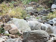 -黑龙潭风景区