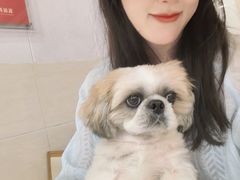 -五谷芳乳鸽王(梅沙老店)