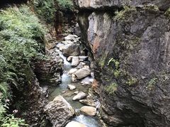-鹿院坪生态旅游景区