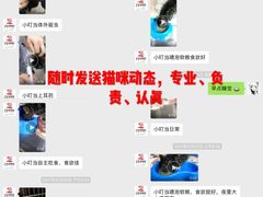 -艾贝尔宠物医院·24H转诊中心·肿瘤猫专科(江宁双龙店)