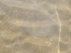 -日照海滨国家森林公园