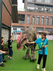 点击看大图 -恐龙探索乐园(磁器口店)