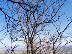 -阳台山自然风景区