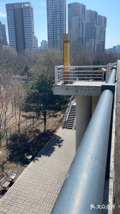 长白岛森林公园图片