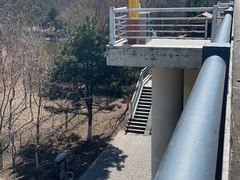 -长白岛森林公园