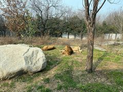 -西安秦岭野生动物园