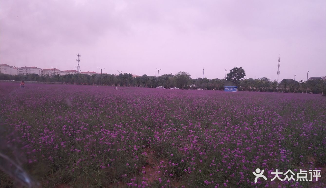 春暖花开，又到了踏春赏花的时候