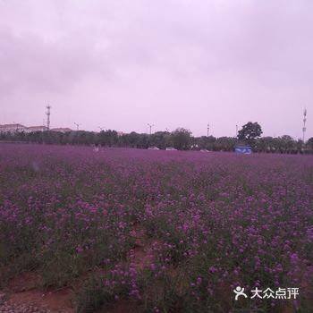 春暖花开，又到了踏春赏花的时候
