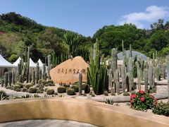 -深圳仙湖植物园