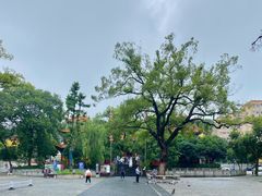 -宝通禅寺