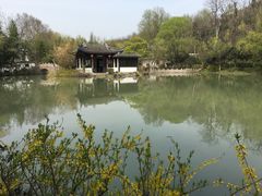 -镇江市南山风景名胜区竹林景区