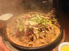 老板恋上鱼-老板恋上鱼(高新万达店)