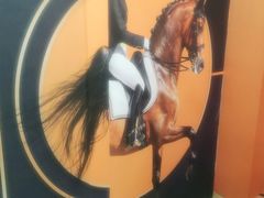 -影都会酒店式主题情侣私人影院猫舍猫咖店(中街店)