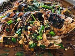 -庆岭迎宾园正宗活鱼馆