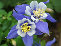 -郑州中国绿化博览园