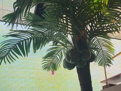 -大头椰·椰子鸡火锅(南宁万象城店)