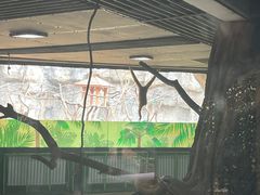 -杭州野生动物世界