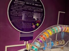 -陕西科学技术馆