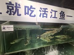 -胖姐渔村(中源大道店)
