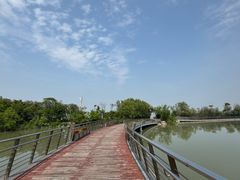 -吴淞炮台湾湿地森林公园烧烤区