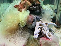 -太平洋海底世界