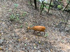 -普洱太阳河森林公园