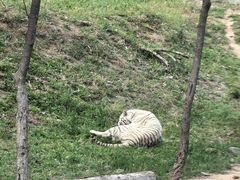 -石家庄市动物园