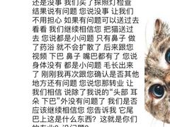 -糯米喵星人总部直营旗舰店·猫舍·幼猫出售