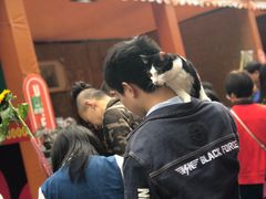 -重庆市江北嘴中央商务区中央公园