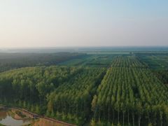 -黄海国家森林公园