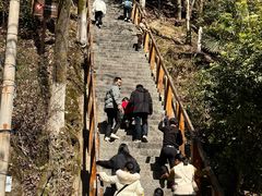 -云碧峰国家森林公园