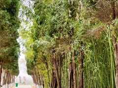 -函谷关历史文化旅游区