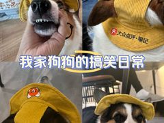 -瑞虹新天地月亮湾