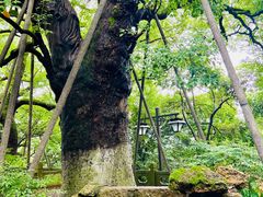 -吴山景区