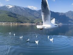 -丽江泸沽湖景区