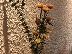 -Cafe on warm(丹霞店)