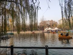 -莲湖公园