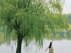 -华熙LIVE·528