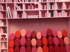 -Dior迪奥(上海世茂广场店)