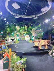 -迈瑞米求婚策划(静安店)